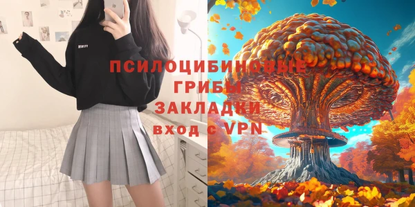 ALPHA-PVP Надым