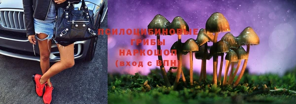ПСИЛОЦИБИНОВЫЕ ГРИБЫ Навашино