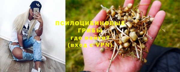 ПСИЛОЦИБИНОВЫЕ ГРИБЫ Навашино