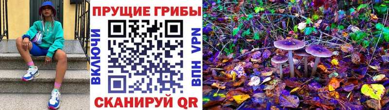 Псилоцибиновые грибы мицелий  наркота  Донецк 