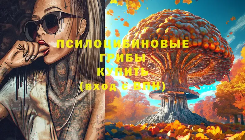 Псилоцибиновые грибы MAGIC MUSHROOMS  Донецк 