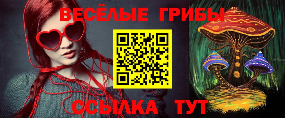 Псилоцибиновые грибы Cubensis  Псилоцибиновые грибы мухоморы  Донецк  Вход с VPN 