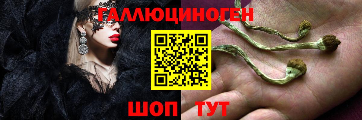 Галлюциногенные грибы GOLDEN TEACHER Донецк